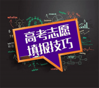 而工程师则专注于机械人的日常调养、毛病诊断