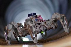 勤奋用所学学问办事国度严沉需